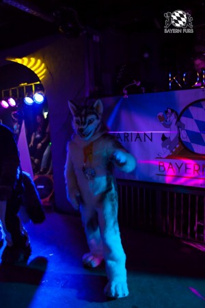 BFD5 0105 von Bastlwastl BFD5 0105 von Bastlwastl