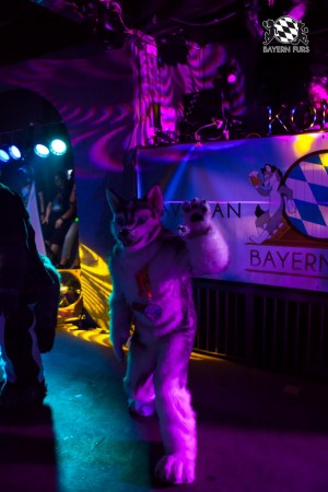 BFD5 0106 von Bastlwastl BFD5 0106 von Bastlwastl