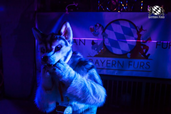 BFD5 0107 von Bastlwastl BFD5 0107 von Bastlwastl