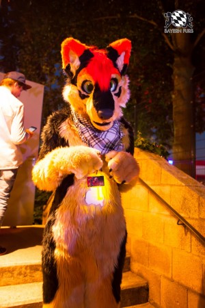 BFD5 0110 von Bastlwastl BFD5 0110 von Bastlwastl