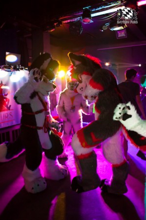 BFD5 0114 von Bastlwastl BFD5 0114 von Bastlwastl