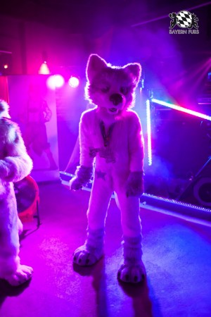 BFD5 0122 von Bastlwastl BFD5 0122 von Bastlwastl