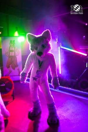 BFD5 0123 von Bastlwastl BFD5 0123 von Bastlwastl