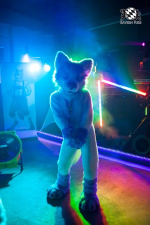 BFD5 0124 von Bastlwastl BFD5 0124 von Bastlwastl