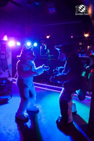 BFD5 0142 von Bastlwastl BFD5 0142 von Bastlwastl