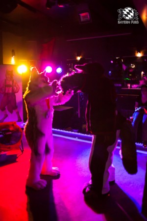 BFD5 0143 von Bastlwastl BFD5 0143 von Bastlwastl