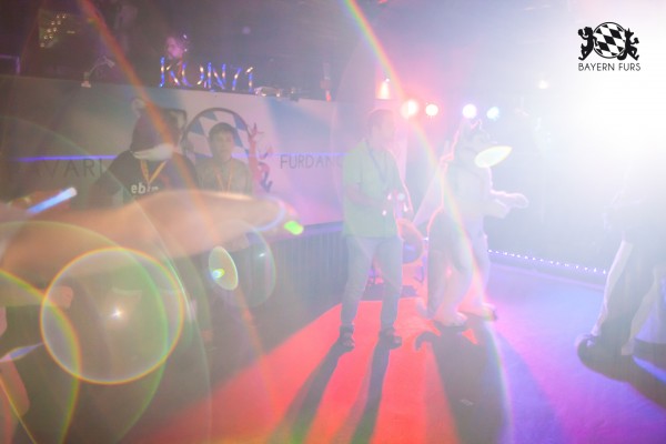 BFD5 0149 von Bastlwastl BFD5 0149 von Bastlwastl