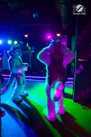 BFD5 0150 von Bastlwastl BFD5 0150 von Bastlwastl