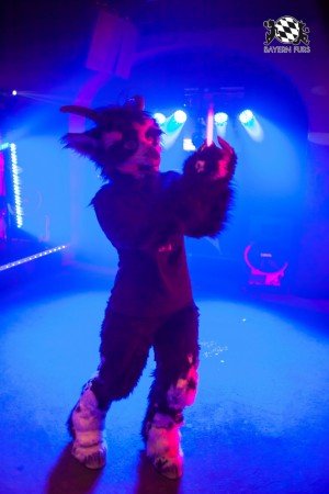 BFD5 0157 von Bastlwastl BFD5 0157 von Bastlwastl