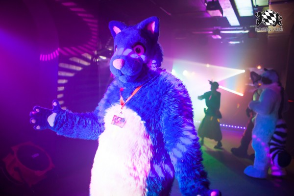 BFD5 0179 von Bastlwastl BFD5 0179 von Bastlwastl