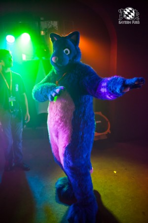 BFD5 0183 von Bastlwastl BFD5 0183 von Bastlwastl