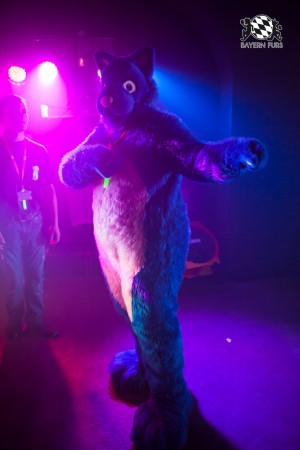 BFD5 0184 von Bastlwastl BFD5 0184 von Bastlwastl