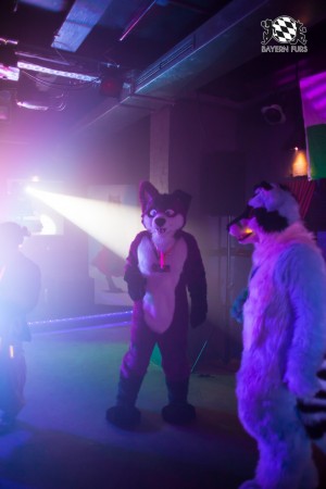 BFD5 0185 von Bastlwastl BFD5 0185 von Bastlwastl