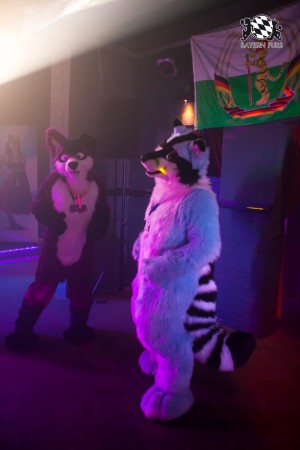 BFD5 0186 von Bastlwastl BFD5 0186 von Bastlwastl