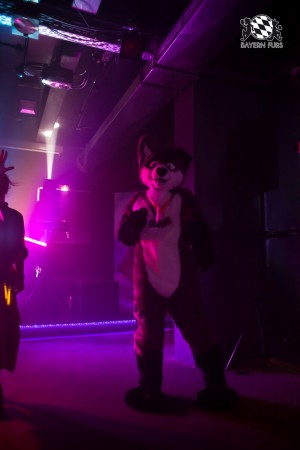 BFD5 0190 von Bastlwastl BFD5 0190 von Bastlwastl