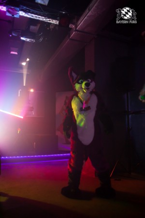 BFD5 0191 von Bastlwastl BFD5 0191 von Bastlwastl