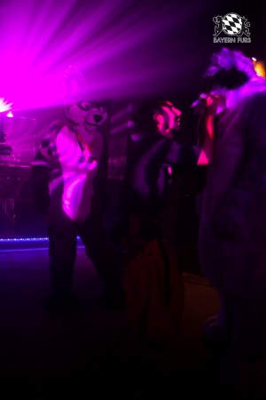 BFD5 0194 von Bastlwastl BFD5 0194 von Bastlwastl