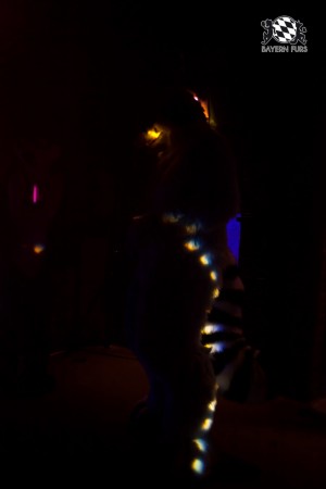 BFD5 0195 von Bastlwastl BFD5 0195 von Bastlwastl