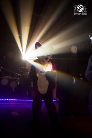 BFD5 0196 von Bastlwastl BFD5 0196 von Bastlwastl