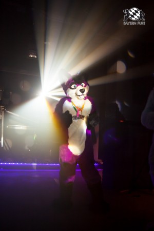 BFD5 0197 von Bastlwastl BFD5 0197 von Bastlwastl