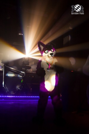 BFD5 0198 von Bastlwastl BFD5 0198 von Bastlwastl