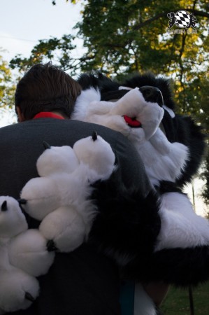 BFD5 0679 von Unbekannt BFD5 0679 von Unbekannt