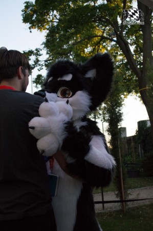 BFD5 0680 von Unbekannt BFD5 0680 von Unbekannt