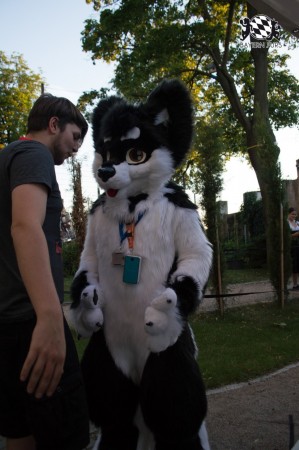 BFD5 0681 von Unbekannt BFD5 0681 von Unbekannt