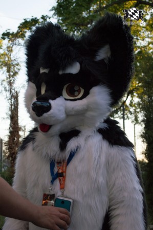 BFD5 0682 von Unbekannt BFD5 0682 von Unbekannt