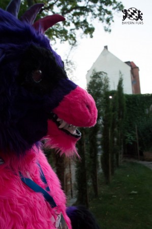 BFD5 0689 von Unbekannt BFD5 0689 von Unbekannt