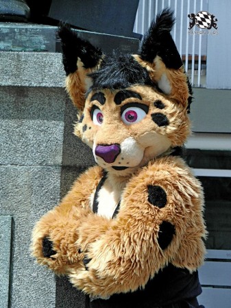 BFD1 0403 von Rolf der Wolf BFD1 0403 von Rolf der Wolf