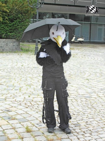 BFD1 0410 von Rolf der Wolf BFD1 0410 von Rolf der Wolf