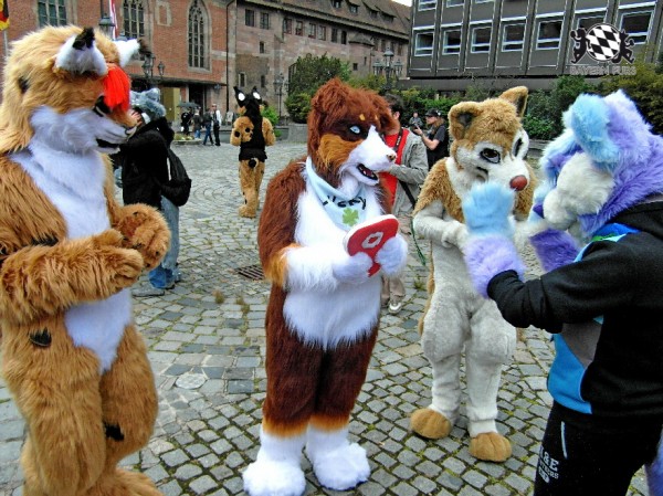 BFD1 0411 von Rolf der Wolf BFD1 0411 von Rolf der Wolf