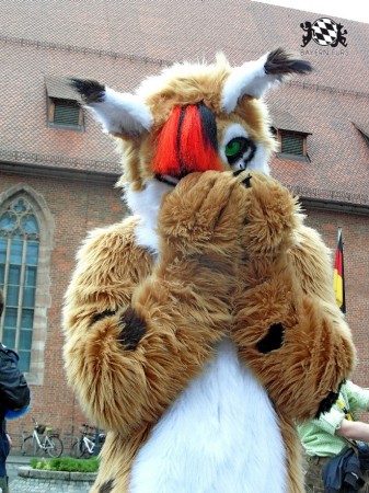 BFD1 0413 von Rolf der Wolf BFD1 0413 von Rolf der Wolf