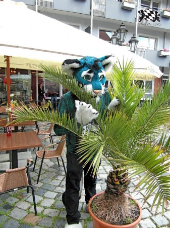 BFD1 0416 von Rolf der Wolf BFD1 0416 von Rolf der Wolf