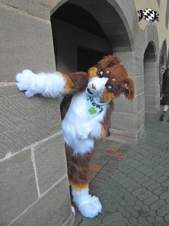 BFD1 0417 von Rolf der Wolf BFD1 0417 von Rolf der Wolf