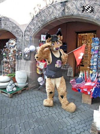 BFD1 0419 von Rolf der Wolf BFD1 0419 von Rolf der Wolf