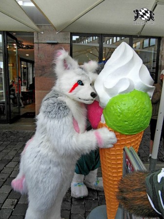 BFD1 0425 von Rolf der Wolf BFD1 0425 von Rolf der Wolf