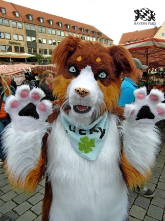 BFD1 0427 von Rolf der Wolf BFD1 0427 von Rolf der Wolf