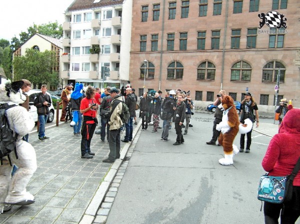 BFD1 0434 von Rolf der Wolf BFD1 0434 von Rolf der Wolf