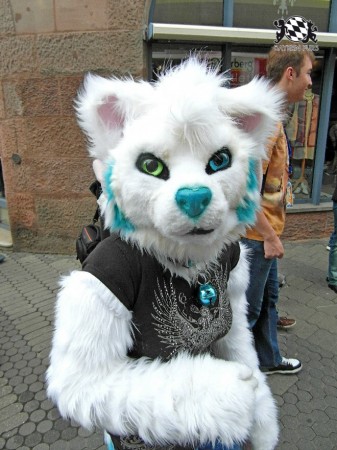 BFD1 0446 von Rolf der Wolf BFD1 0446 von Rolf der Wolf