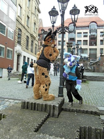 BFD1 0447 von Rolf der Wolf BFD1 0447 von Rolf der Wolf