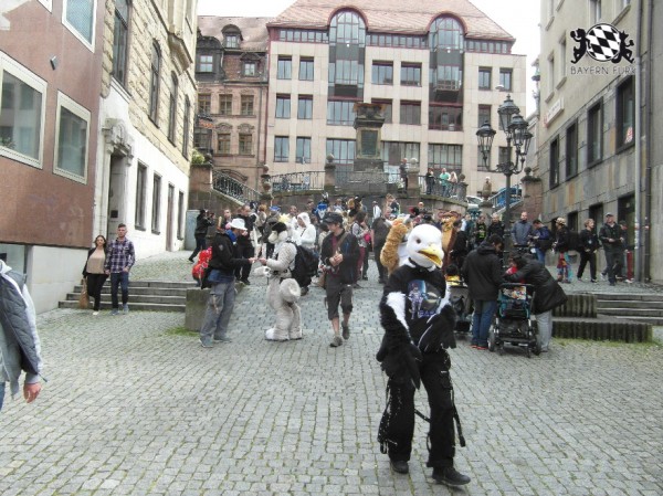 BFD1 0471 von Rolf der Wolf BFD1 0471 von Rolf der Wolf