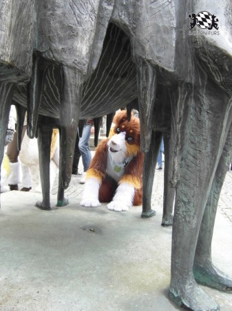 BFD1 0472 von Rolf der Wolf BFD1 0472 von Rolf der Wolf