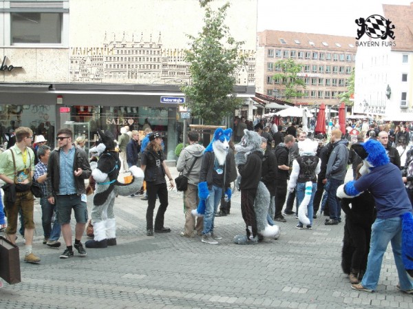 BFD1 0477 von Rolf der Wolf BFD1 0477 von Rolf der Wolf