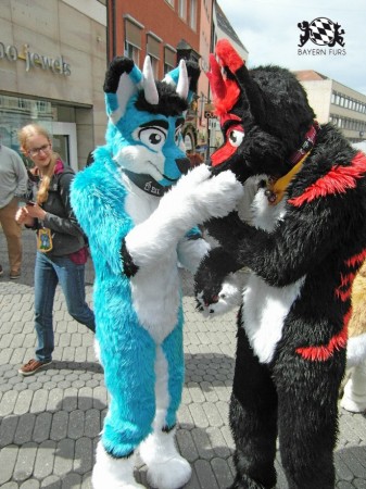 BFD1 0479 von Rolf der Wolf BFD1 0479 von Rolf der Wolf