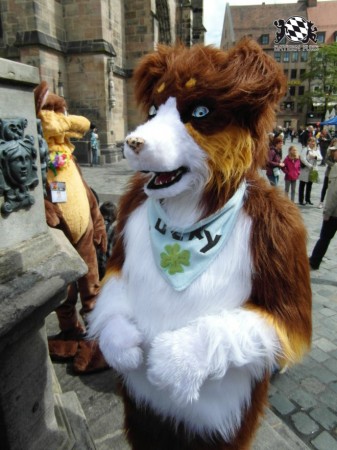 BFD1 0484 von Rolf der Wolf BFD1 0484 von Rolf der Wolf