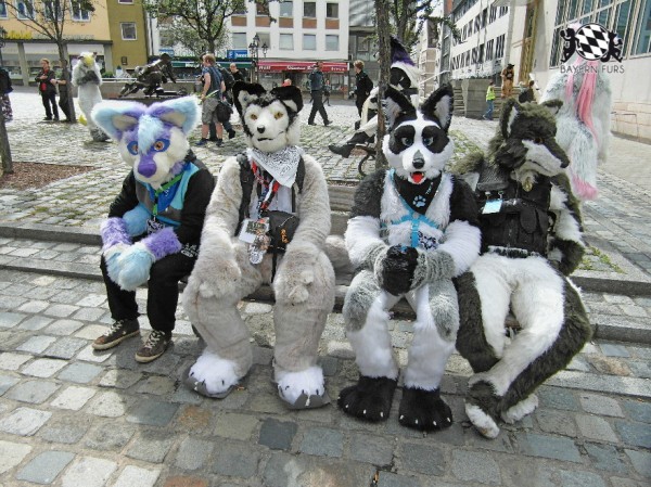 BFD1 0496 von Rolf der Wolf BFD1 0496 von Rolf der Wolf