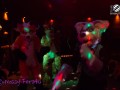 BFD1 1336 von Nossy BFD1 1336 von Nossy