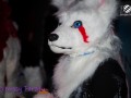 BFD1 1407 von Nossy